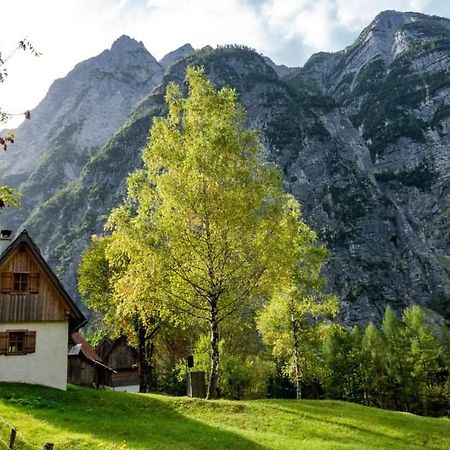 Cottages Kravanja トレンタ エクステリア 写真