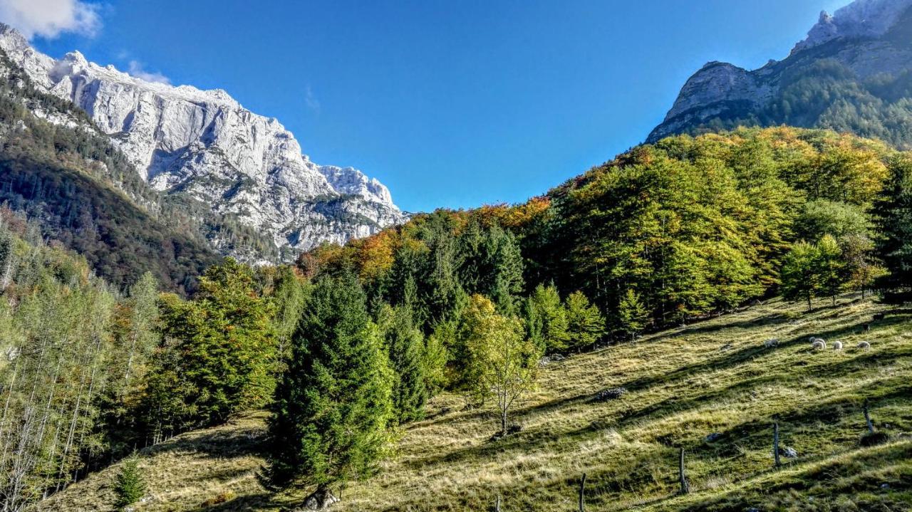Cottages Kravanja トレンタ エクステリア 写真