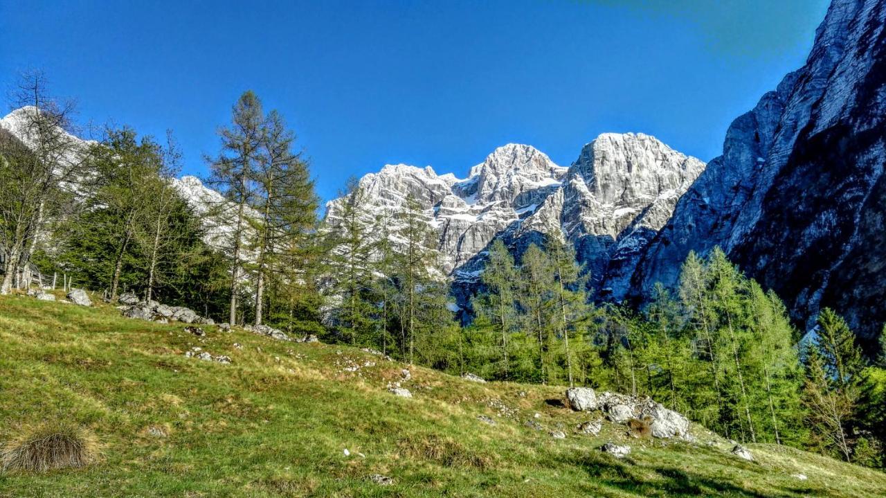 Cottages Kravanja トレンタ エクステリア 写真