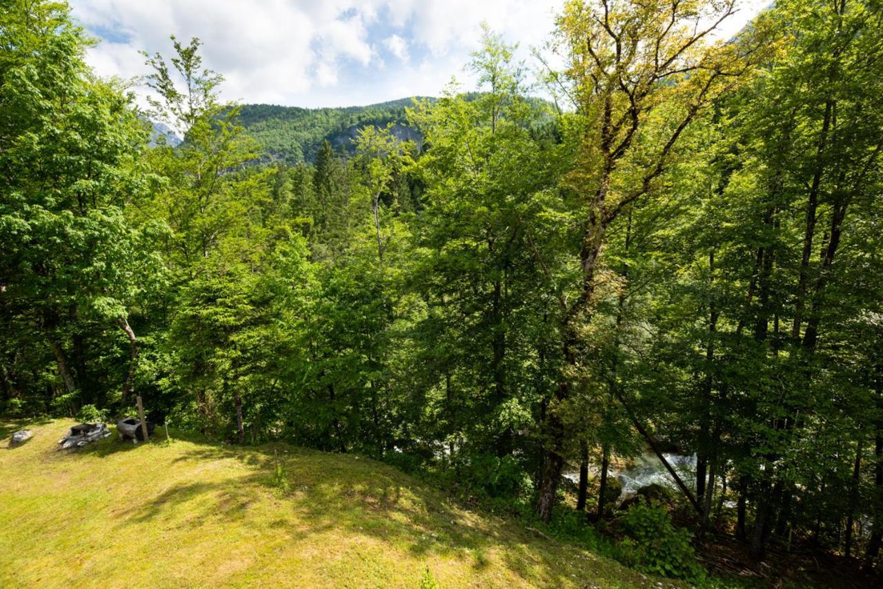 Cottages Kravanja トレンタ エクステリア 写真